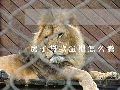 房子贷款逾期怎么撤 房子贷款逾期怎么撤