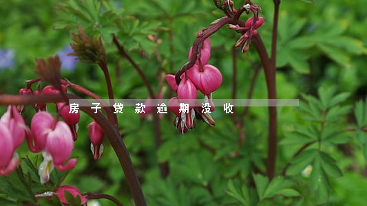 房子贷款逾期没收