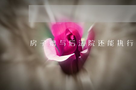 房子赠与后法院还能执行吗