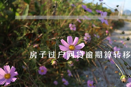 房子过户网贷逾期算转移财产吗 房子过户网贷逾期算转移财产吗