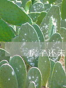 房子还未过户被法院强制执行 房子还未过户被法院强制执行
