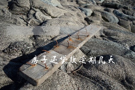 房子还贷款逾期几天 房子还贷款逾期几天