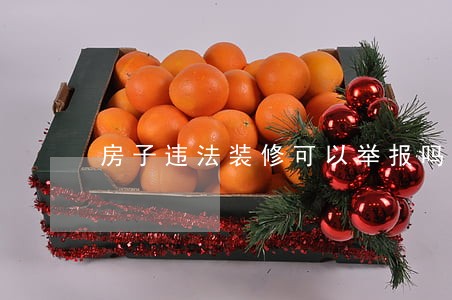 房子违法装修可以举报吗 房子违法装修可以举报吗