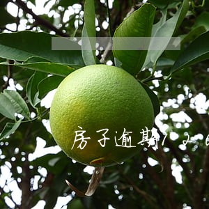 房子逾期120天没有违约金