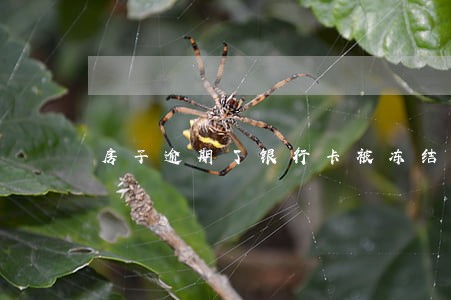 房子逾期了银行卡被冻结了 房子逾期了银行卡被冻结了