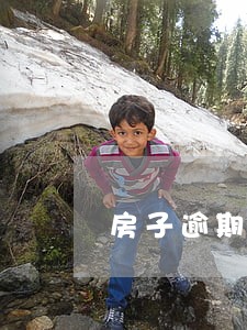 房子逾期好久银行会处理 房子逾期好久银行会处理