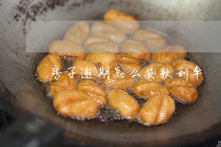 房子逾期怎么贷款利率 房子逾期怎么贷款利率