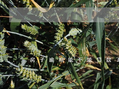 房子逾期能不能贷款了 房子逾期能不能贷款了