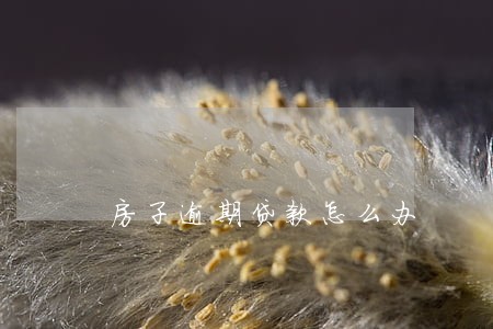 房子逾期贷款怎么办 房子逾期贷款怎么办