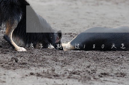 房子逾期超过180天怎么赔偿