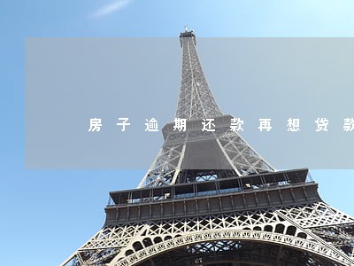 房子逾期还款再想贷款可以贷吗 房子逾期还款再想贷款可以贷吗