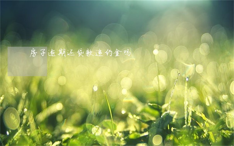 房子逾期还贷款违约金吗 房子逾期还贷款违约金吗