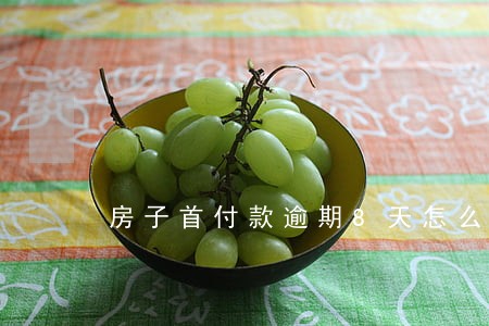 房子首付款逾期8天怎么办 房子首付款逾期8天怎么办