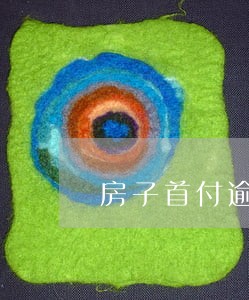 房子首付逾期2个月滞纳金 房子首付逾期2个月滞纳金