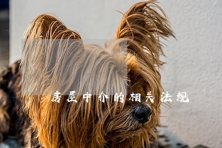 房屋中介的相关法规 房屋中介的相关法规