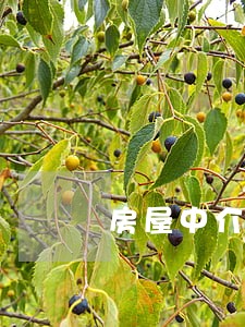 房屋中介费收取标准法规 房屋中介费收取标准法规