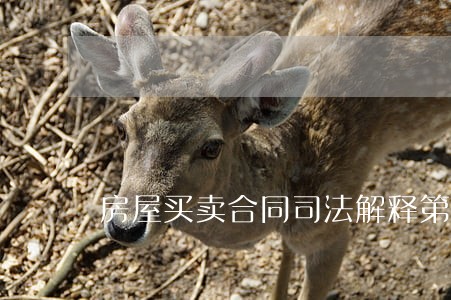 房屋买卖合同司法解释第三条