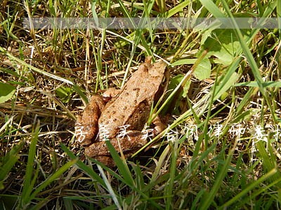房屋买卖合同律师委托流程 房屋买卖合同律师委托流程