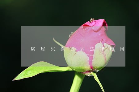 房屋买卖合同法律顾问 房屋买卖合同法律顾问