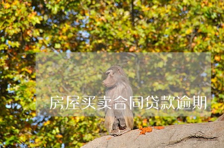 房屋买卖合同贷款逾期 房屋买卖合同贷款逾期
