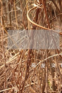 房屋交税是按法院拍卖价交吗 房屋交税是按法院拍卖价交吗