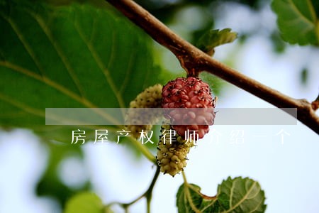 房屋产权律师介绍一个 房屋产权律师介绍一个