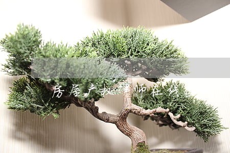 房屋产权律师在线咨询 房屋产权律师在线咨询