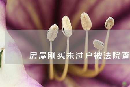 房屋刚买未过户被法院查封 房屋刚买未过户被法院查封