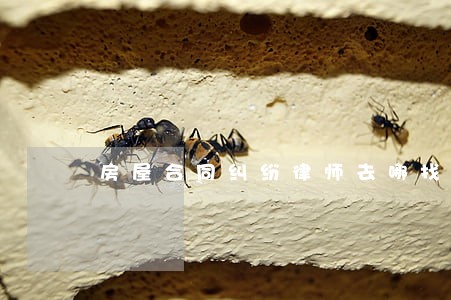 房屋合同纠纷律师去哪找 房屋合同纠纷律师去哪找