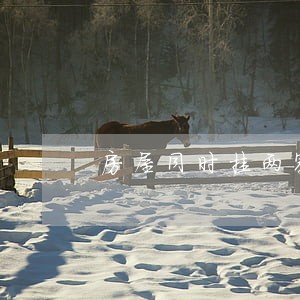 房屋同时挂两家中介违法吗 房屋同时挂两家中介违法吗