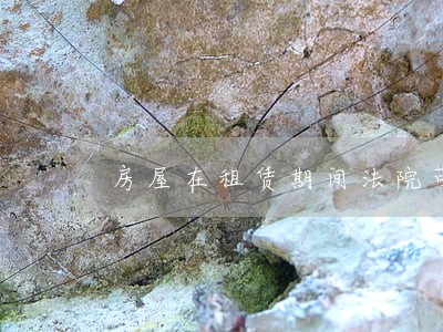 房屋在租赁期间法院可以拍卖吗 房屋在租赁期间法院可以拍卖吗