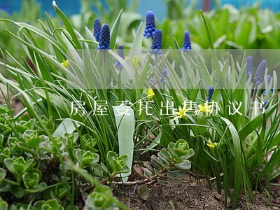房屋委托出售协议书 房屋委托出售协议书