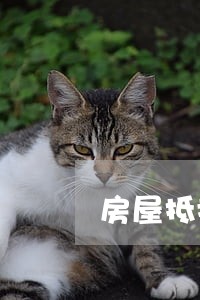 房屋抵押给银行逾期3年