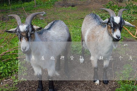 房屋抵押贷款逾期三个月 房屋抵押贷款逾期三个月