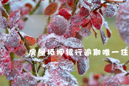 房屋抵押银行逾期唯一住房 房屋抵押银行逾期唯一住房