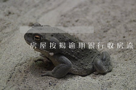 房屋按揭逾期银行收房流程 房屋按揭逾期银行收房流程