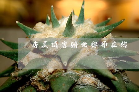 房屋损害赔偿律师在线 房屋损害赔偿律师在线