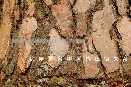 房屋更名中各方法律关系 房屋更名中各方法律关系