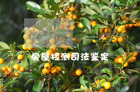 房屋检测司法鉴定 房屋检测司法鉴定