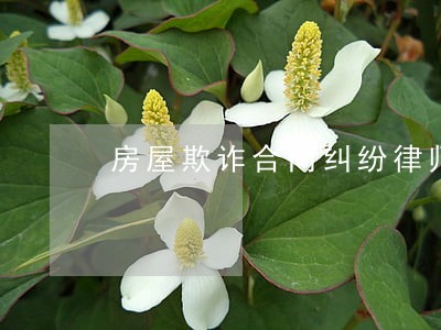 房屋欺诈合同纠纷律师 房屋欺诈合同纠纷律师