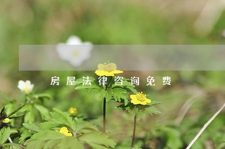 房屋法律咨询免费 房屋法律咨询免费