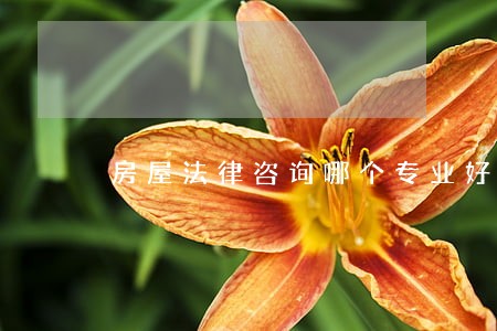 房屋法律咨询哪个专业好 房屋法律咨询哪个专业好