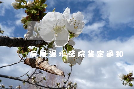 房屋漏水法院鉴定通知