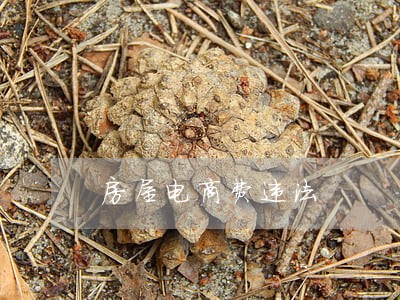 房屋电商费违法