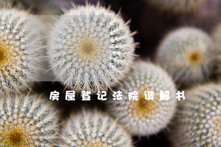 房屋登记法院调解书 房屋登记法院调解书