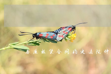房屋租赁合同约定法院仲裁 房屋租赁合同约定法院仲裁