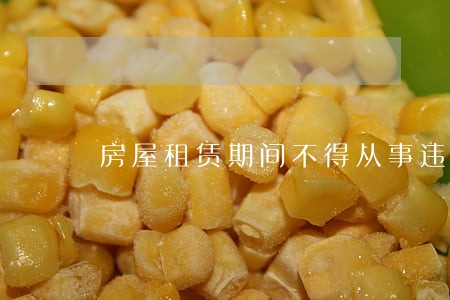 房屋租赁期间不得从事违法 房屋租赁期间不得从事违法