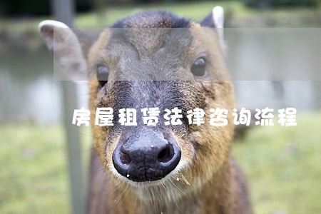 房屋租赁法律咨询流程 房屋租赁法律咨询流程