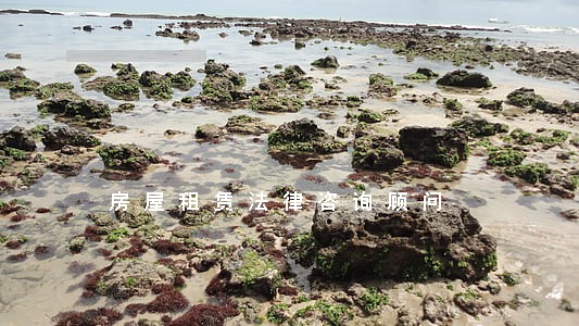 房屋租赁法律咨询顾问 房屋租赁法律咨询顾问