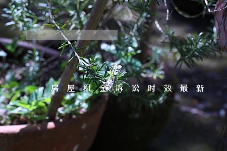 房屋租金诉讼时效最新 房屋租金诉讼时效最新